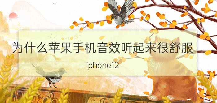 为什么苹果手机音效听起来很舒服 iphone12 铃声开到最大还是听不见？